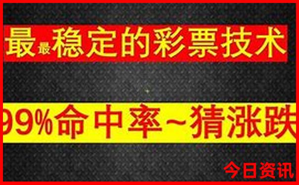 12生肖买马的规则详解